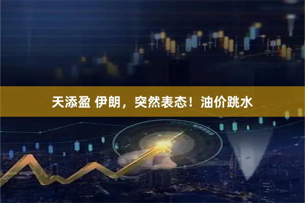 天添盈 伊朗，突然表态！油价跳水