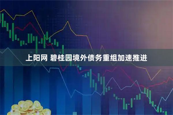 上阳网 碧桂园境外债务重组加速推进