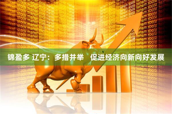 锦盈多 辽宁：多措并举   促进经济向新向好发展