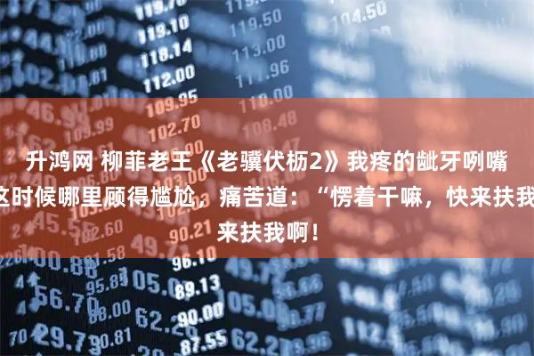 升鸿网 柳菲老王《老骥伏枥2》我疼的龇牙咧嘴，这时候哪里顾得尴尬，痛苦道：“愣着干嘛，快来扶我啊！