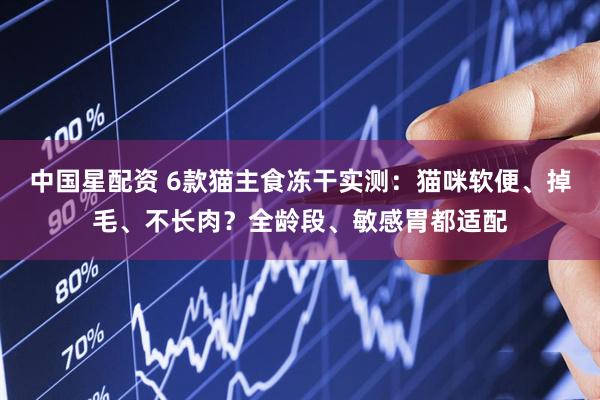 中国星配资 6款猫主食冻干实测：猫咪软便、掉毛、不长肉？全龄段、敏感胃都适配