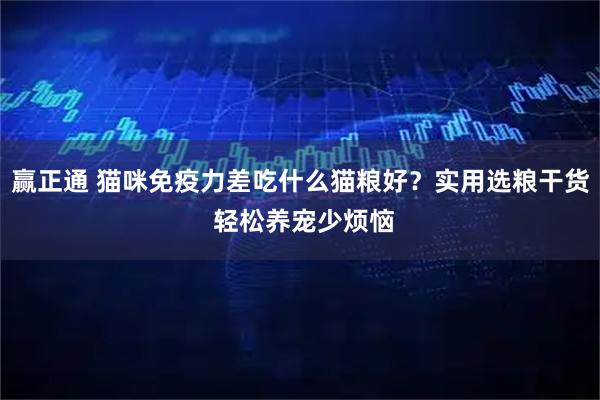 赢正通 猫咪免疫力差吃什么猫粮好？实用选粮干货 轻松养宠少烦恼