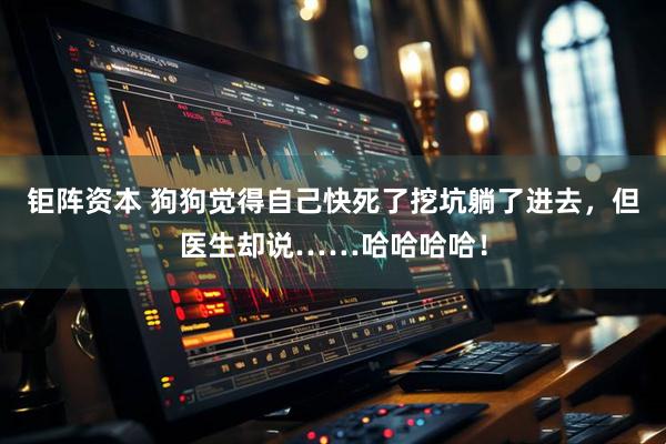 钜阵资本 狗狗觉得自己快死了挖坑躺了进去，但医生却说……哈哈哈哈！