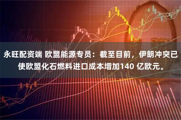 永旺配资端 欧盟能源专员：截至目前，伊朗冲突已使欧盟化石燃料进口成本增加140 亿欧元。