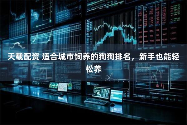 天载配资 适合城市饲养的狗狗排名，新手也能轻松养