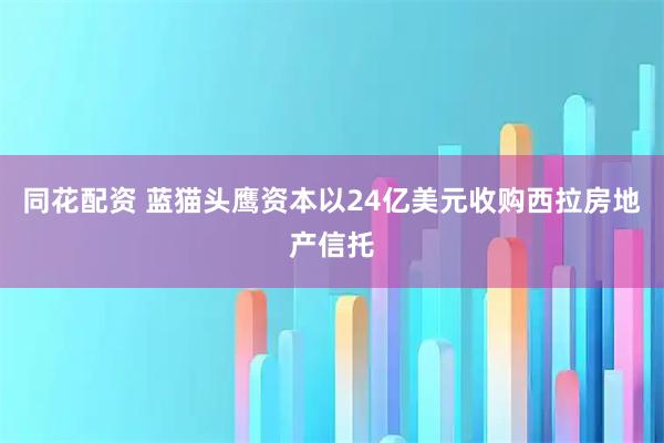 同花配资 蓝猫头鹰资本以24亿美元收购西拉房地产信托