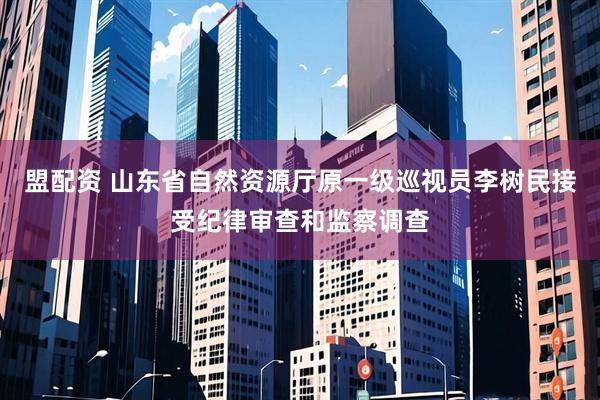 盟配资 山东省自然资源厅原一级巡视员李树民接受纪律审查和监察调查