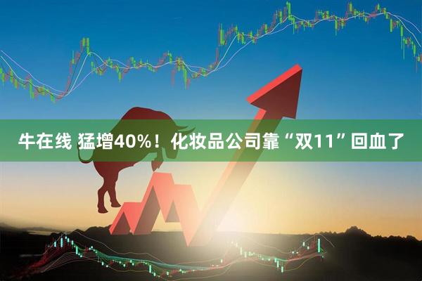 牛在线 猛增40%！化妆品公司靠“双11”回血了