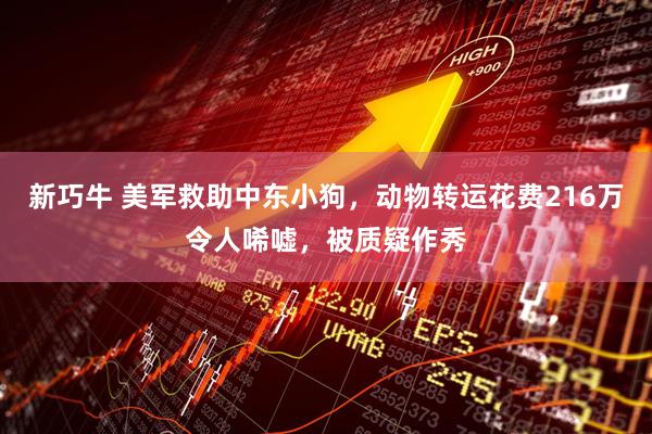 新巧牛 美军救助中东小狗，动物转运花费216万令人唏嘘，被质疑作秀