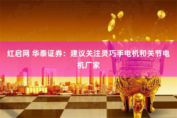 红启网 华泰证券：建议关注灵巧手电机和关节电机厂家