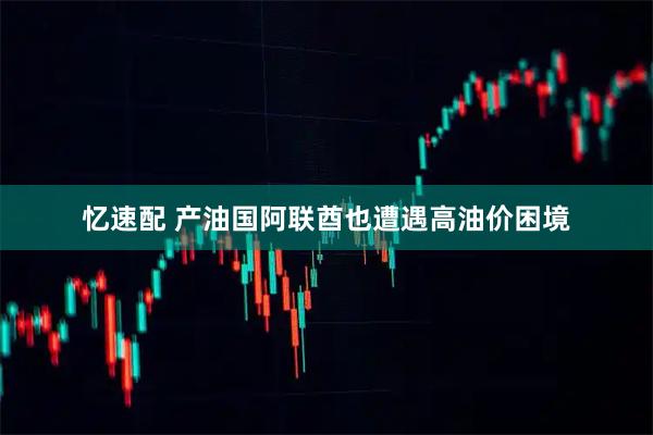 忆速配 产油国阿联酋也遭遇高油价困境