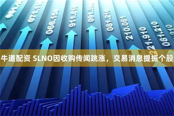 牛道配资 SLNO因收购传闻跳涨，交易消息提振个股