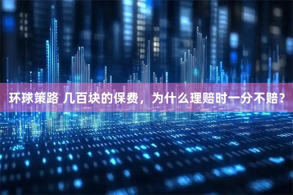 环球策路 几百块的保费，为什么理赔时一分不赔？