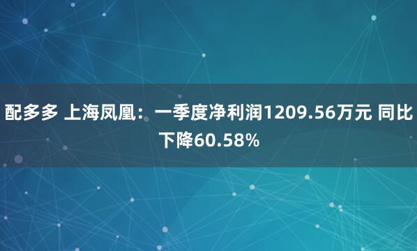 配多多 上海凤凰：一季度净利润1209.56万元 同比下降60.58%