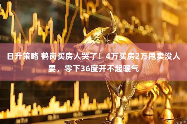 日升策略 鹤岗买房人哭了！4万买房2万甩卖没人要，零下36度开不起暖气
