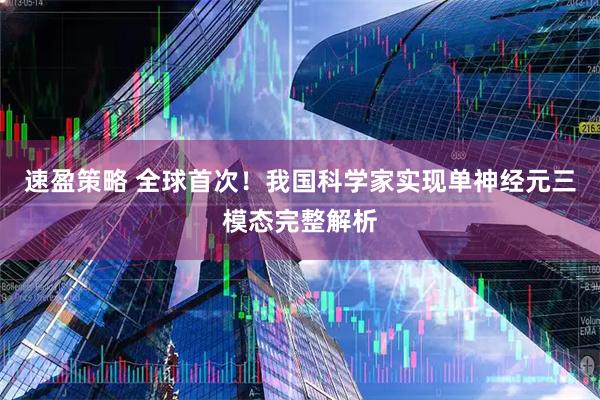 速盈策略 全球首次！我国科学家实现单神经元三模态完整解析