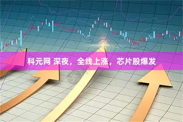科元网 深夜，全线上涨，芯片股爆发