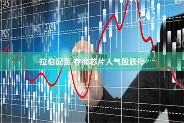 拉伯配资 存储芯片人气股跌停