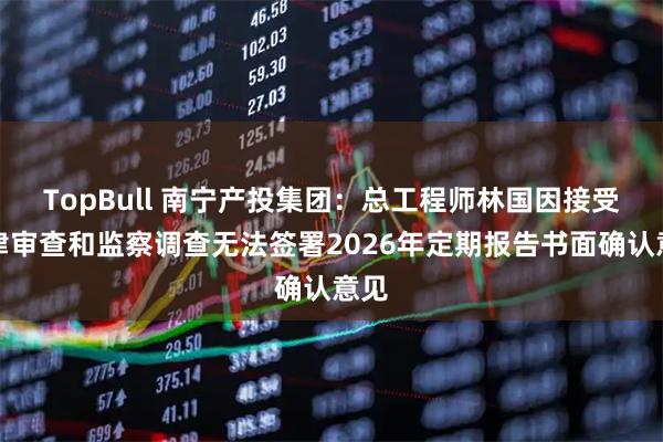 TopBull 南宁产投集团：总工程师林国因接受纪律审查和监察调查无法签署2026年定期报告书面确认意见